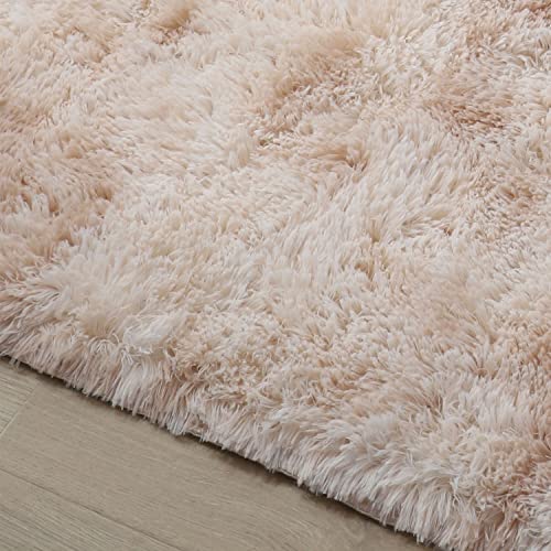 Fluffy Area Rug for Bedroom 3x5, Soft Fuzzy Shaggy Rugs for Bedroom with Non-Slip Bottom